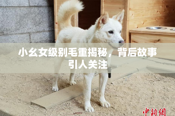 小幺女级别毛重揭秘，背后故事引人关注