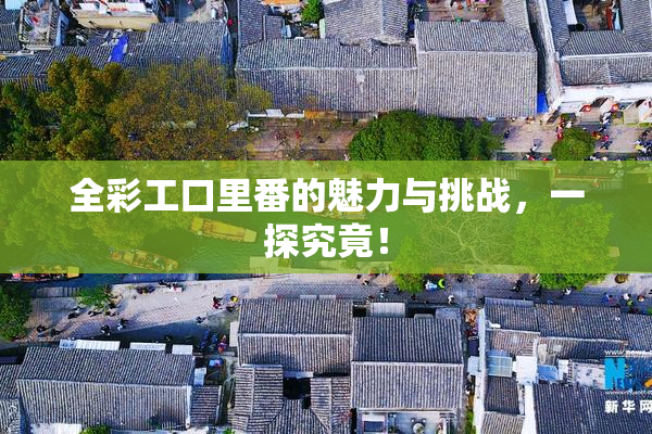 全彩工口里番的魅力与挑战，一探究竟！