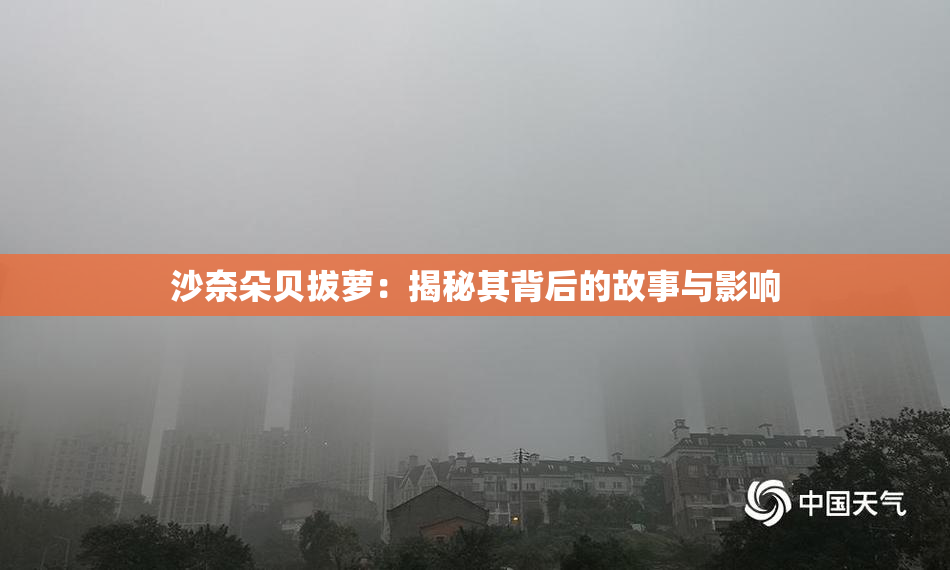 沙奈朵贝拔萝：揭秘其背后的故事与影响