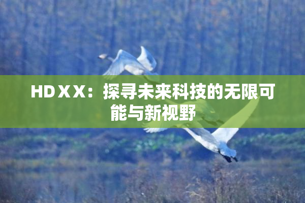 HDⅩX：探寻未来科技的无限可能与新视野