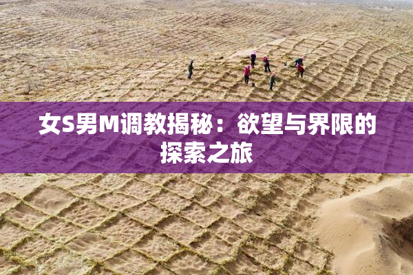 女S男M调教揭秘：欲望与界限的探索之旅