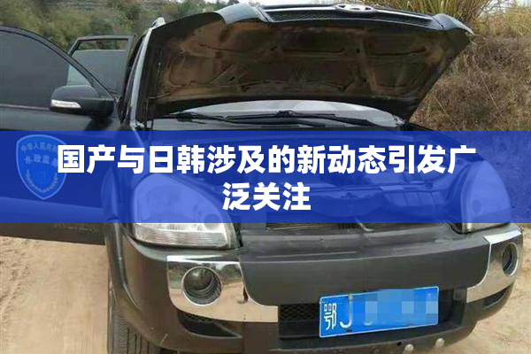 国产与日韩涉及的新动态引发广泛关注