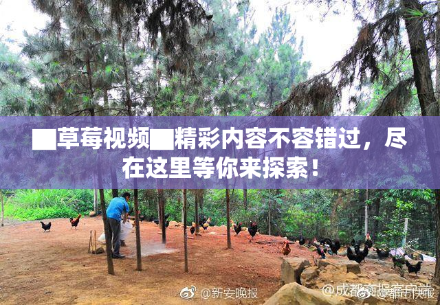 ▇草莓视频▇精彩内容不容错过，尽在这里等你来探索！
