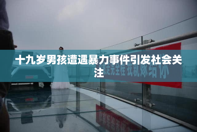 十九岁男孩遭遇暴力事件引发社会关注