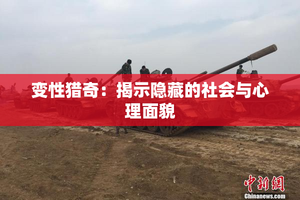 变性猎奇：揭示隐藏的社会与心理面貌