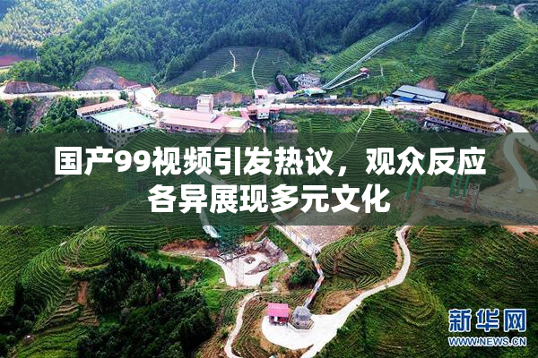 国产99视频引发热议，观众反应各异展现多元文化