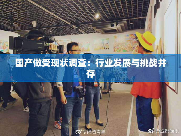 国产做受现状调查：行业发展与挑战并存