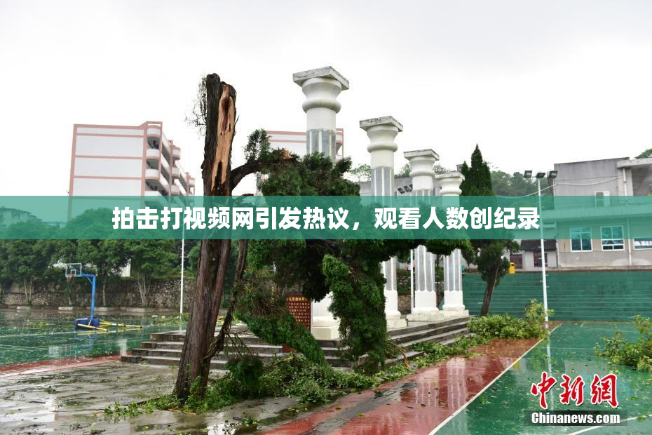 拍击打视频网引发热议，观看人数创纪录