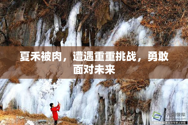 夏禾被肉，遭遇重重挑战，勇敢面对未来
