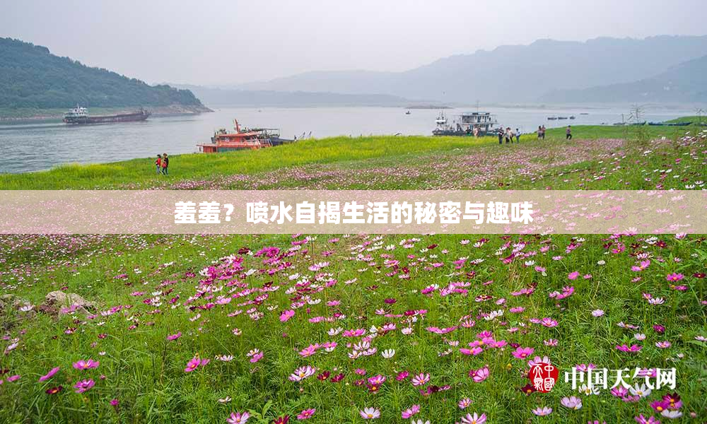 羞羞？喷水自揭生活的秘密与趣味