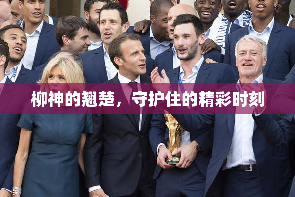 柳神的翘楚，守护住的精彩时刻