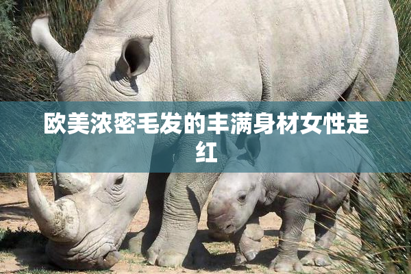 欧美浓密毛发的丰满身材女性走红
