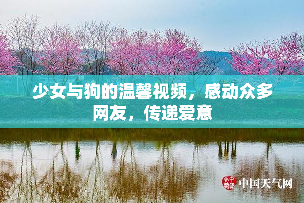 少女与狗的温馨视频，感动众多网友，传递爱意