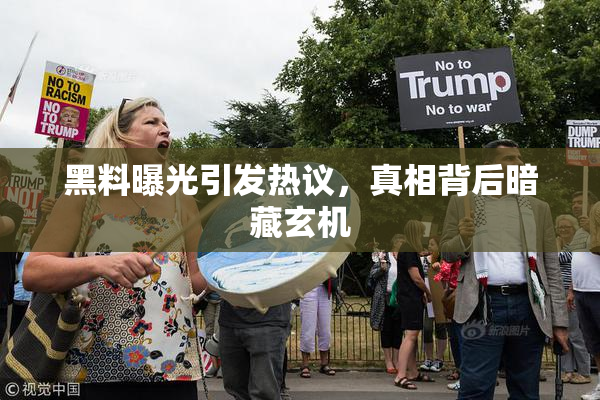 黑料曝光引发热议，真相背后暗藏玄机