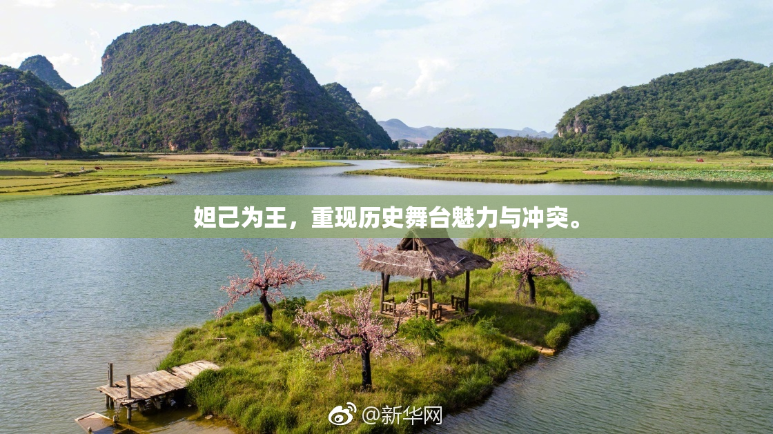 妲己为王，重现历史舞台魅力与冲突。