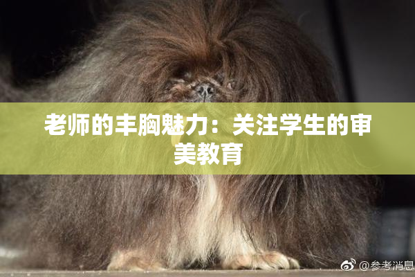老师的丰胸魅力：关注学生的审美教育