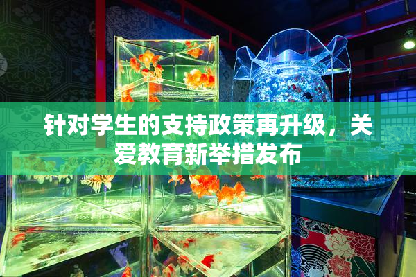 针对学生的支持政策再升级，关爱教育新举措发布