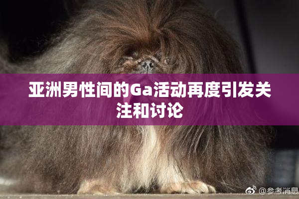 亚洲男性间的Ga活动再度引发关注和讨论