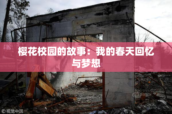 樱花校园的故事：我的春天回忆与梦想