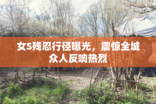 女S残忍行径曝光，震惊全城众人反响热烈