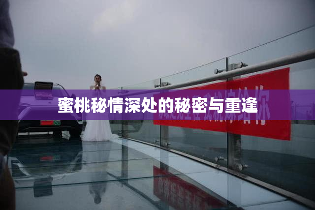 蜜桃秘情深处的秘密与重逢
