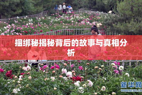 捆绑秘揭秘背后的故事与真相分析