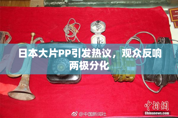 日本大片PP引发热议，观众反响两极分化