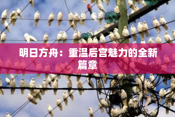 明日方舟：重温后宫魅力的全新篇章