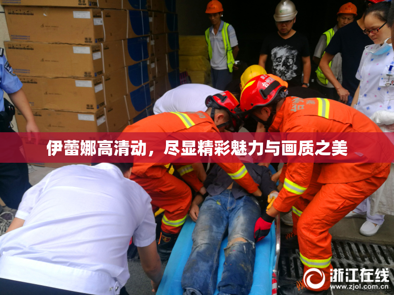 伊蕾娜高清动，尽显精彩魅力与画质之美