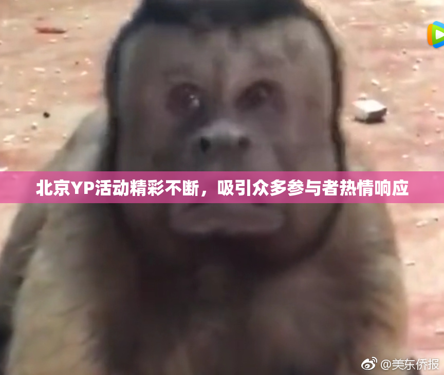 北京YP活动精彩不断，吸引众多参与者热情响应