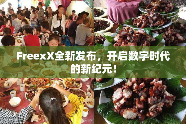 FreexX全新发布，开启数字时代的新纪元！