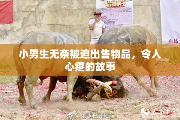 小男生无奈被迫出售物品，令人心疼的故事