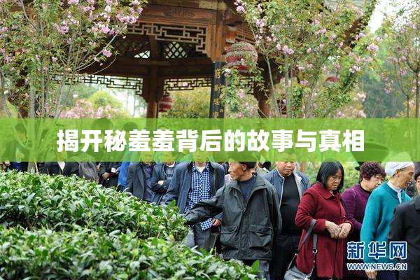 揭开秘羞羞背后的故事与真相