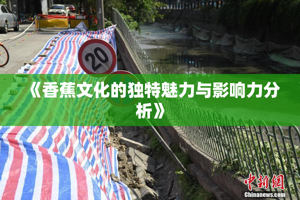 《香蕉文化的独特魅力与影响力分析》