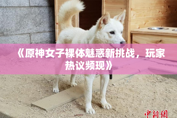 《原神女子裸体魅惑新挑战，玩家热议频现》