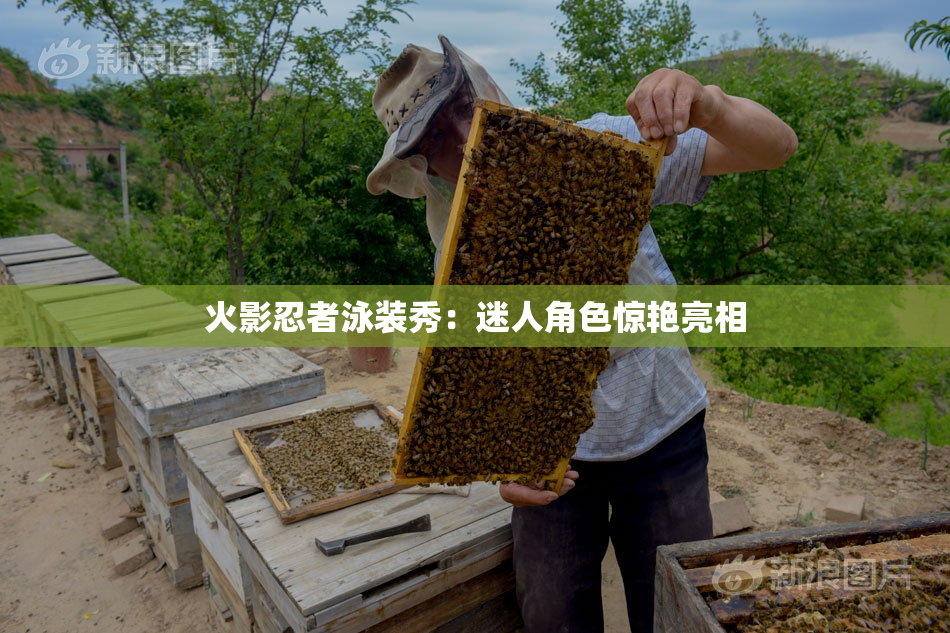 火影忍者泳装秀：迷人角色惊艳亮相