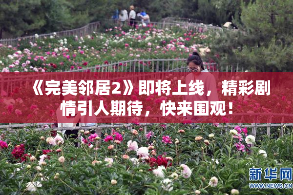 《完美邻居2》即将上线，精彩剧情引人期待，快来围观！