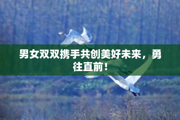 男女双双携手共创美好未来，勇往直前！