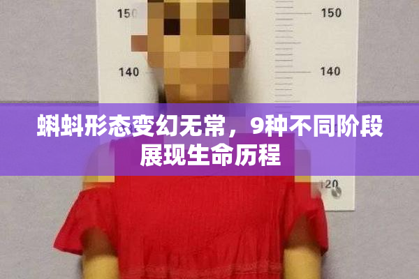 蝌蚪形态变幻无常，9种不同阶段展现生命历程