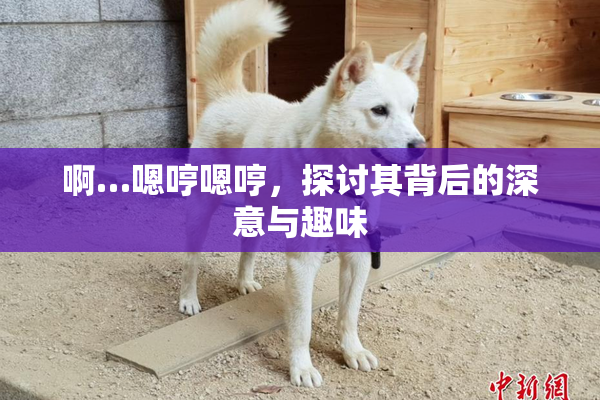 啊…嗯哼嗯哼，探讨其背后的深意与趣味