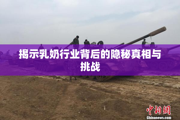 揭示乳奶行业背后的隐秘真相与挑战