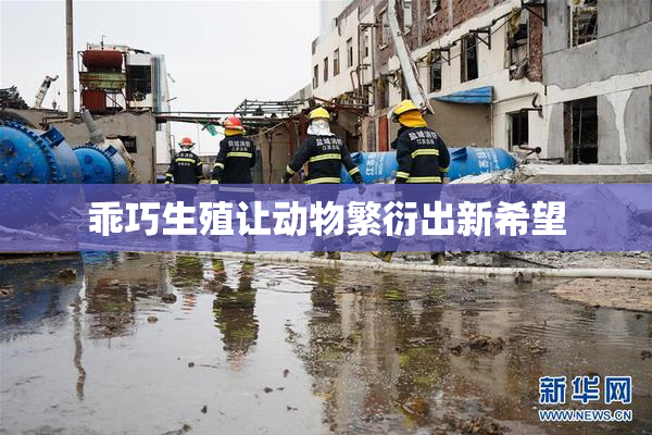 乖巧生殖让动物繁衍出新希望