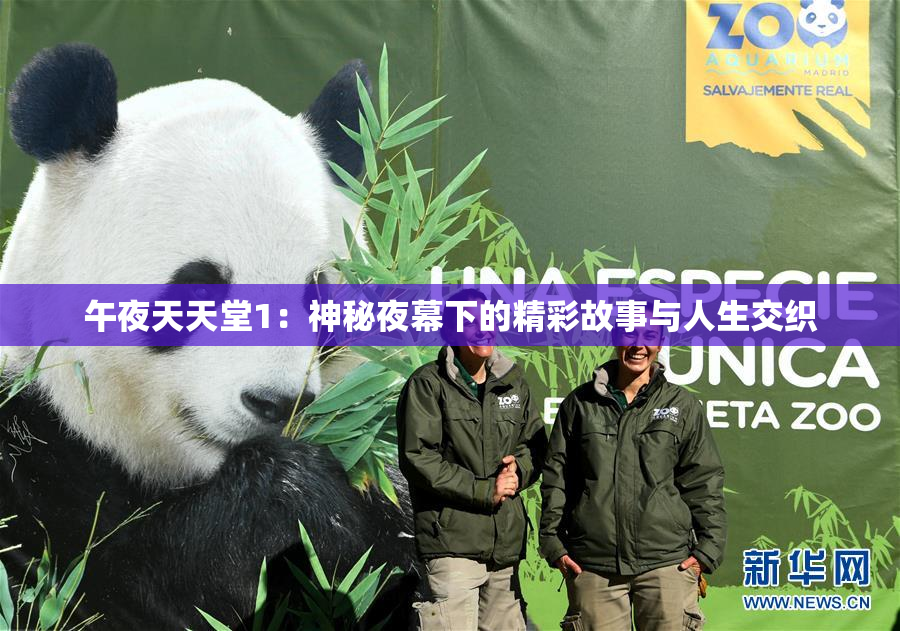 午夜天天堂1：神秘夜幕下的精彩故事与人生交织