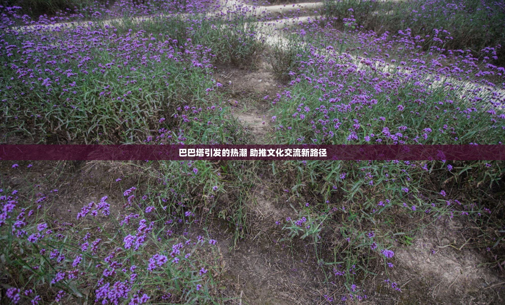 巴巴塔引发的热潮 助推文化交流新路径