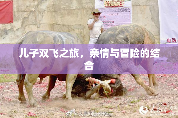 儿子双飞之旅，亲情与冒险的结合