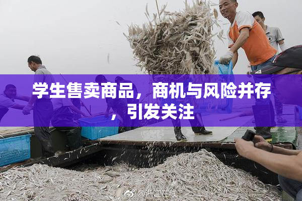 学生售卖商品，商机与风险并存，引发关注