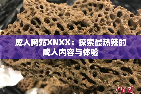 成人网站XNXX：探索最热辣的成人内容与体验
