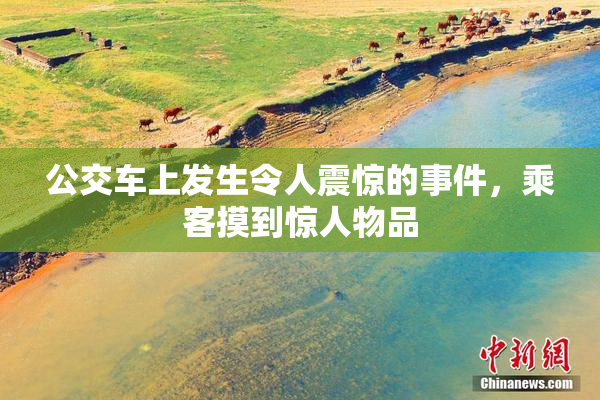 公交车上发生令人震惊的事件，乘客摸到惊人物品