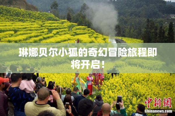 琳娜贝尔小狐的奇幻冒险旅程即将开启！