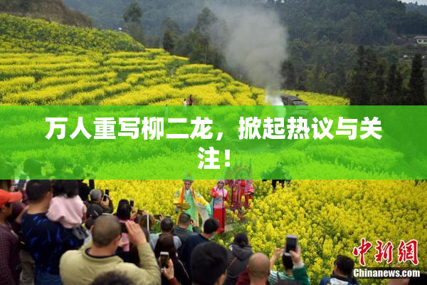 万人重写柳二龙，掀起热议与关注！